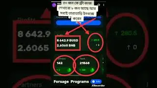 Forsage.io daily income. Forsage.io life time income.The best site Forsage.io.