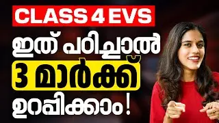 Class 4 EVS | Most Important 3 Mark Question | Exam Winner