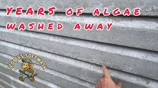 Algae Removal So Clean It&rsquo;s Addictive to Watch!