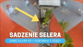 Sadzenie Selera 2022 #Vlog