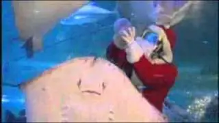 Santa feeds fish at Tokyo aquarium