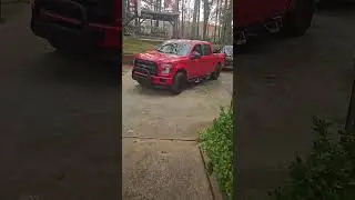 Part 2. Back at it Again! Fall Yard Clean Up!