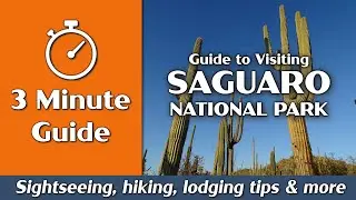 Saguaro National Park | Things to Do, Hiking, Camping, Lodging | 3-Minute Guide