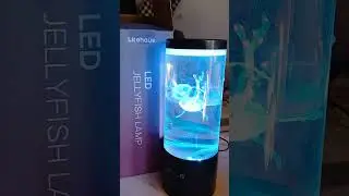 LED Jelly Fish Lamp. Such a neat gift.