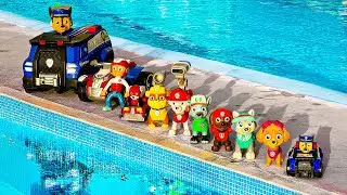 PAW Patrol Rescue Wheels Adventures! w/ Chase 🚗 1 Hours | Looking for Paw Patrol in the pool