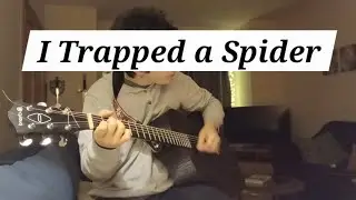 I Trapped a Spider - Michael Cahill