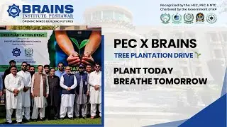 Tree Plantation Drive #pakistanengineeringcouncil #brainsinstitutepeshawar