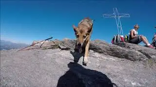 Cheneil - Becca d'Aran - Mont Roisetta(3334m), Valle d'Aosta, Italy, 29-07-2018