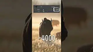 Этот трюк поможет вам добиться ИДЕАЛЬНОГО баланса белого на фотографиях!