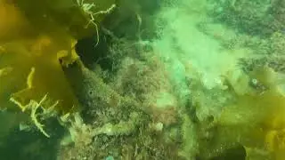 Loch Craignish 1 010423