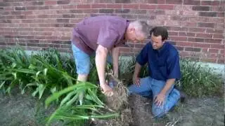 Heritage Gardening