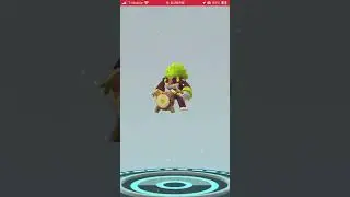 Pok&eacute;mon Go Community Day Grookey Evolution Session REMINDER TO EVOLVE ALL SO YOU GET MOVE BEFORE 9PM