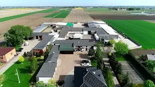 Uprawa kapusty i ogórków