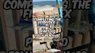 Completing the Fishydex, Part 10, Folly Beach, South Carolina