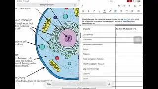 Opening two Google Docs for Split View on iPad