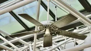 MANY Hunter Original Ceiling Fans at a Hotel Lobby