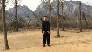 Wu Wenju Feng Huan Chui