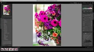 JPEG vs RAW White Balance in Lightroom Classic