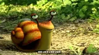baby tv pan slimak brakująca skorupa