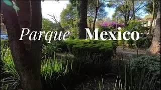 Parque  Mexico  - Mexico City