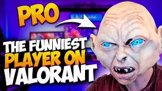 BABYBAY FUNNIEST and INSANE moments montage