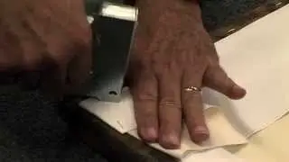Cruse Scanner Heartland Printworks Demonstration video 480 x360.mov