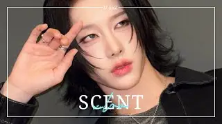 [Thai ver.] Scent (กลิ่นยั่วยวน) - XLOV┇Cover By U'jinZ