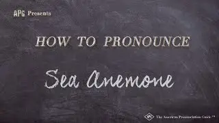 How to Pronounce Sea Anemone (Real Life Examples!)