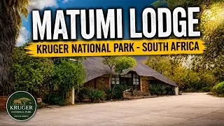 Matumi Lodge | Kruger National Park