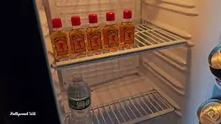 Danby Compact Refrigerator Review &ndash; Is This the Best Mini Fridge for Your Home or Office?