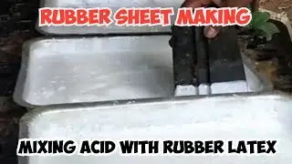 Process of Rubber sheet making 