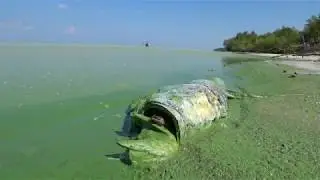 Экологическая катастрофа на Кременчугском водохранилище! Как стиральные порошки убивают экосистему!!