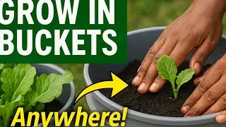 From Zero to Garden: 5 Steps to Grow Food Anywhere