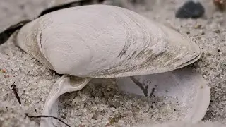 how nature connects us