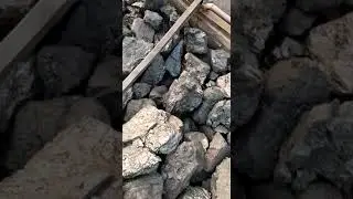 COAL  SUPPLIERS IN RAMGARH.8800557788.