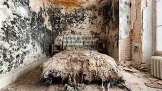 Would You Explore This Abandoned House Covered In Mold?