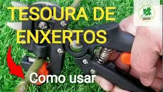Veja como usar essa TESOURA DE ENXERTO muito boa - 2° parte.