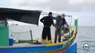 СКРЫТАЯ МАЛЬТА: Рыбалка сетями в красочной лодке-луццо