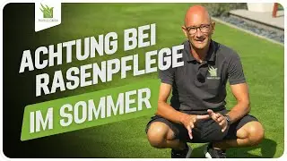 🌱 Richtige Rasenpflege bei hei&szlig;en Temperaturen im Sommer - So bleibt der Rasen sch&ouml;n gr&uuml;n! 🌱