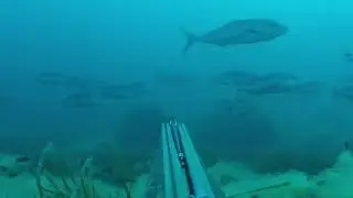 chasse sous marine juin 2021