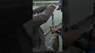 -Justin Atkins- 10.8 pound record breaking fish - Major League Fishing #viral #fishing #bass #fyp