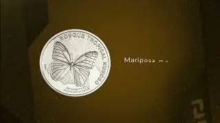 4/6 Nueva moneda de 50 colones