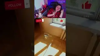 Пылесос из СССР - ностальгия #shorts #brightlightsofsvetlov  #BLOS #leona_kiki