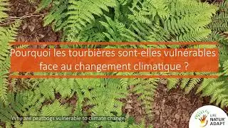 The effects of climate change in the Morvan regional nature reserve (France)