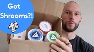 Got Shrooms?! Thoughts On Alpha Dynamic's Medicinal Mushrooms