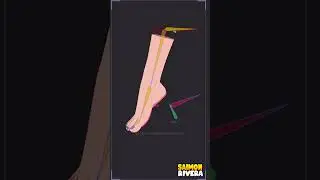 Foot Rigging MOHO PRO 14.3 #шорты #анимация #вирусноевидео #2danimation #animacion2d