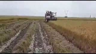 Full feed combine harvester call now model no - os-4lz-5.0++. 8920516422