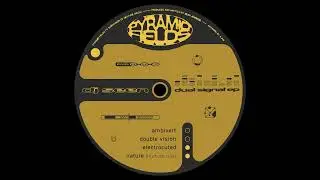 DJ Seen - Double Vision