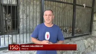 Uključenje u program TV PRVA - Turistička ponuda Jagodine - (TV KCN 23.08.2021)