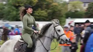 How to Pet a Horse  at Ballinasloe Horse Fair